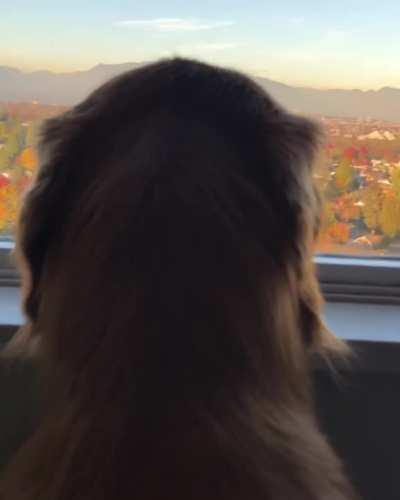 I’ve been inside for too long!