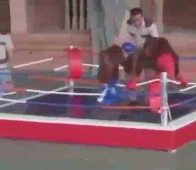 The greatest boxing match ever (heil spez)