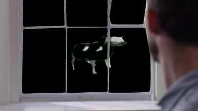 an interesting title