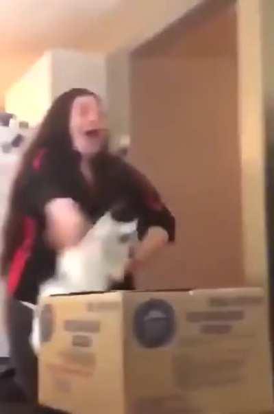 The cat’s reaction