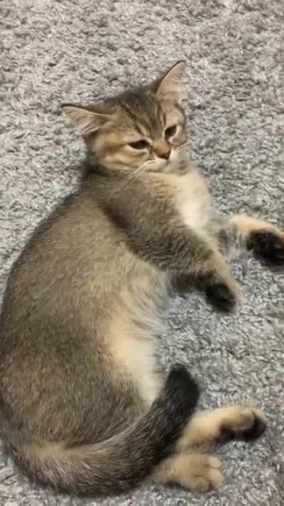 Oh, it‘s just you?