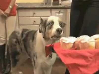 You don't know...…you weren't there