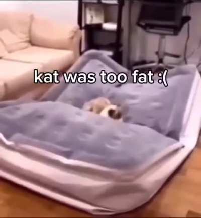 Fat Kat
