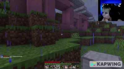 My last stream ( i died) 