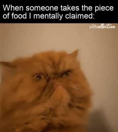 You really had to take it, didn't you?