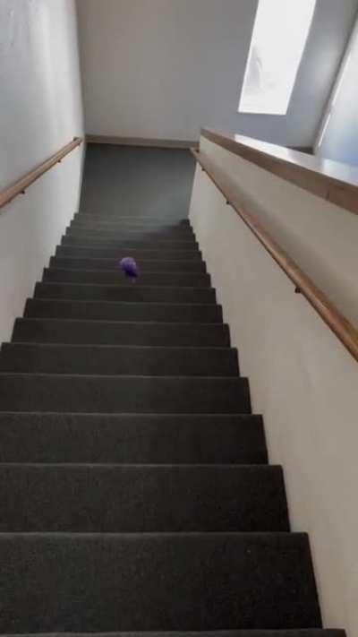 I’m so sorry. 💀