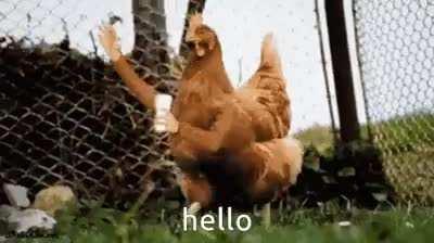 What a friendly cock