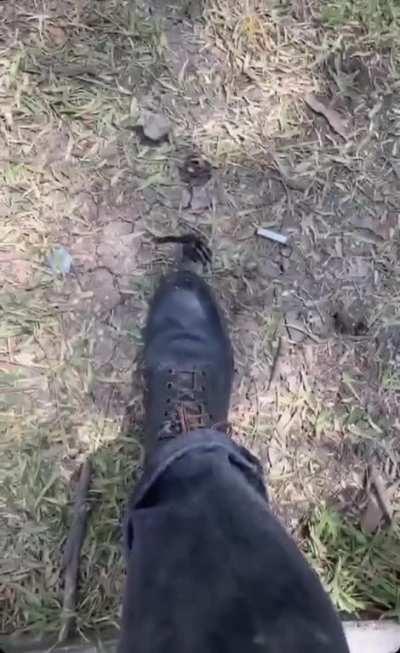 quarantine day : 3837