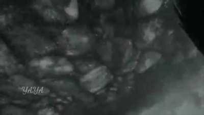 Somebody needed to turn this combat footage into a meme...