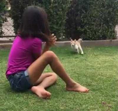 tIgEr pOuNcEs oN ViCtIm aFtEr sTaLkInG It tHrOuGh tHe fOrReSt