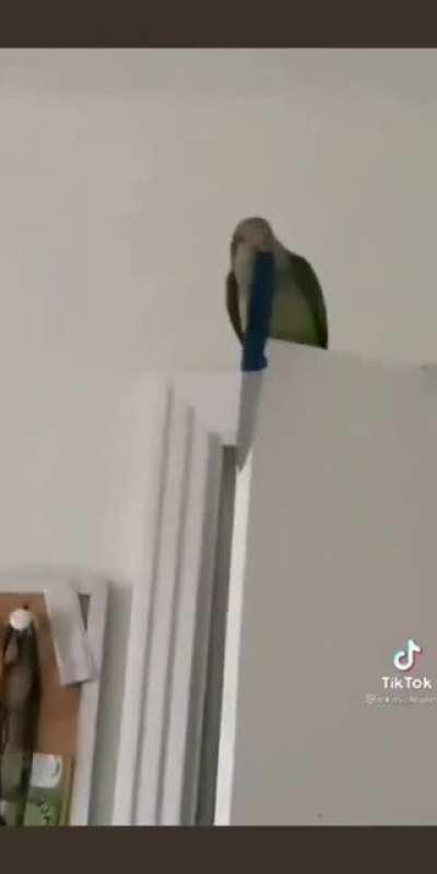 BiRb FuCkInG mUrDeRs InNoCeNt MaN