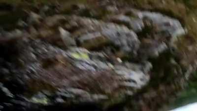 WCGW riding this line