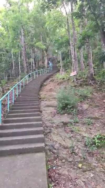 Sliding home from school