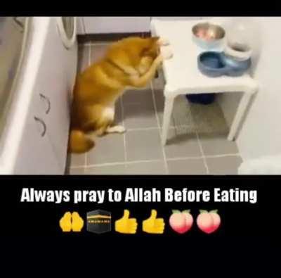 Halal inshallah