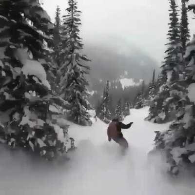 Skiing is life❄❄🤩