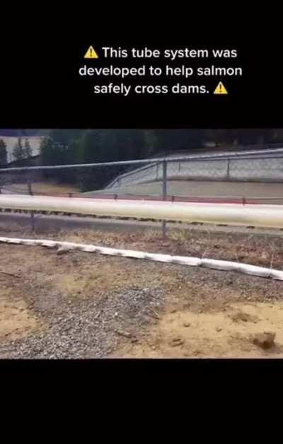 Fish transportation system.