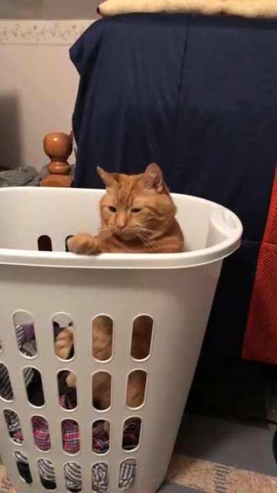 Happy 16th birthday to my tippy tappy boy!!!!