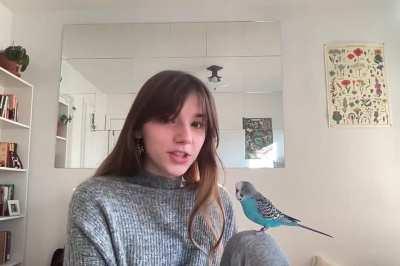 Duncan wanted to steal the show for one of my college course introduction videos.