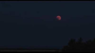 My Bigfoot Sighting Ep. 25 - Eyewitness describes the midtarsal break and the ontological shock of seeing a cryptid. Link to the full interview in the comments.