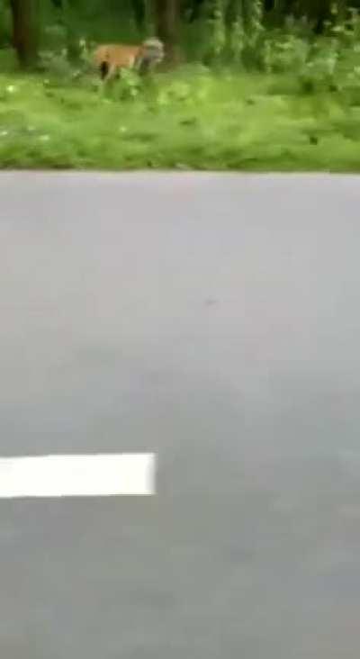 Just passing by to get my lunch