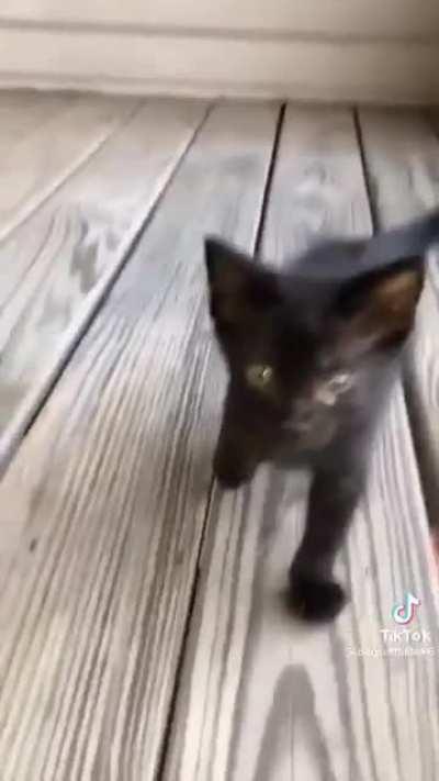 This is my wet life now