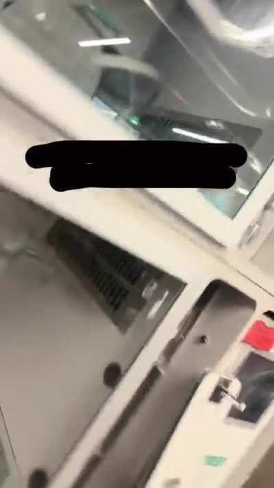 Dusty and Zucchini’s story (originally posted to Tik Tok on Monday, December 15th)