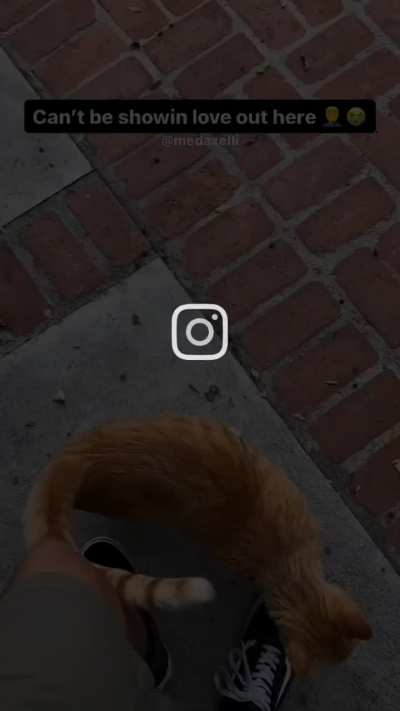 Car took it personally 