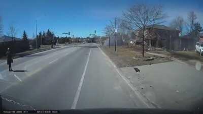 Drive like a dick, crash like a dick