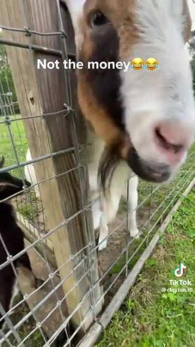 JPow solution to selling off his bond portfolio to tame inflation 