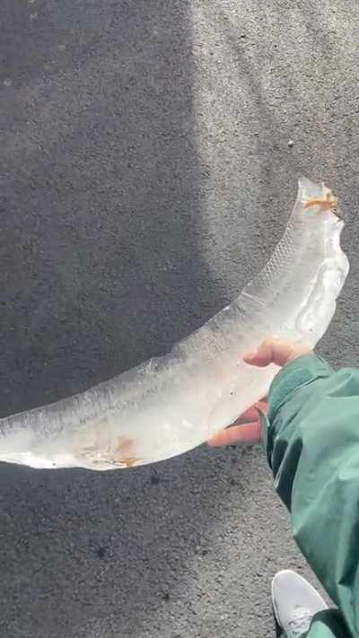 The lid to my fire pit fell in a bit and the cover filled with water and froze