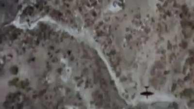 A break from the nazi waves that have been posted recently