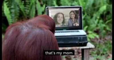 My conversation on discord with buddy