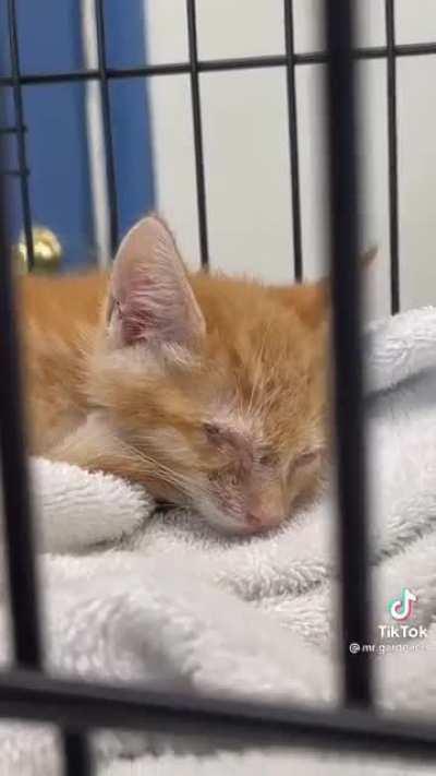 We need more people like this.