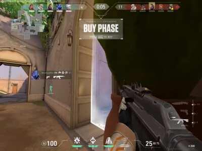 Hit Box Of Tree in Tree Room Broken, Doesnt Act Like a Wall Bang, It tanks shot completely