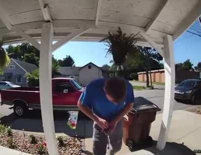 quite the right hook for a plant on a hook