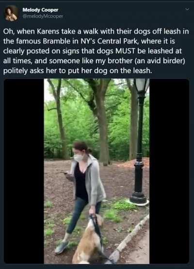 Another racist Karen was caught on video and had no shame making up stories