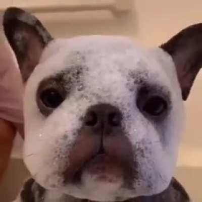 Bath Time. Vid Courtesy yomo.yomo.1227 ❤️