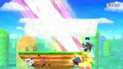 I used the Ice Climbers to destroy the Ice Climbers