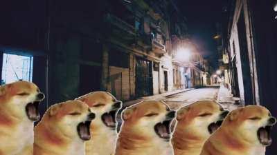 Y que viva el rock and roll aunque le den el Grammy de mejor álbum latino alternativo o de rock a Rosalía.