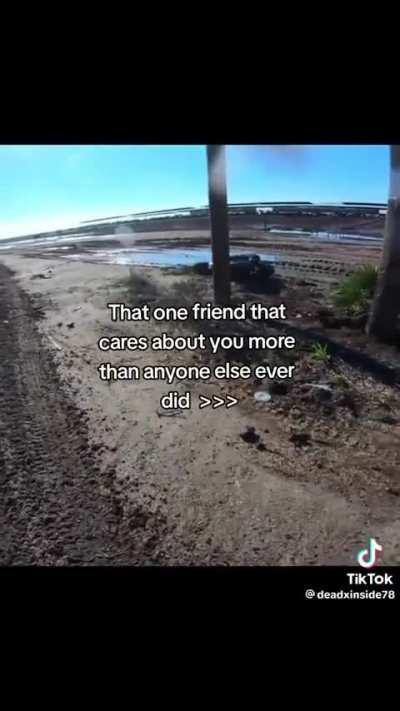 I’m sorry, I failed you 😭