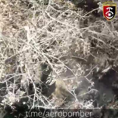 Wakey Wakey. it's your morning wake-up call. Slava ЗСУ! 💙💛