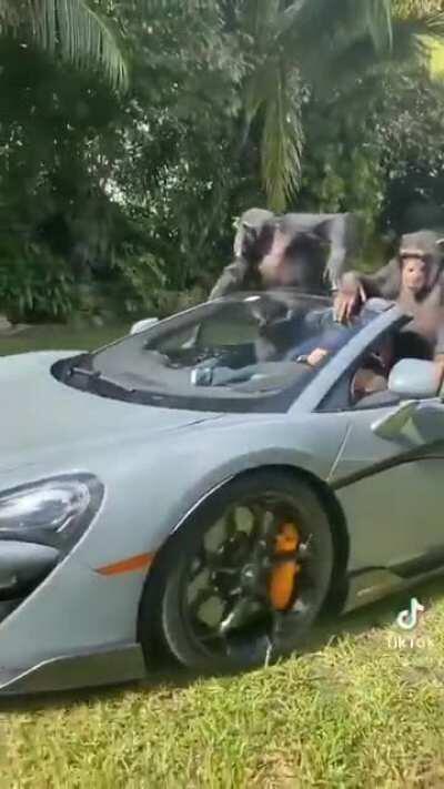 Sindicalistas tucumanos ahora usan TikTok