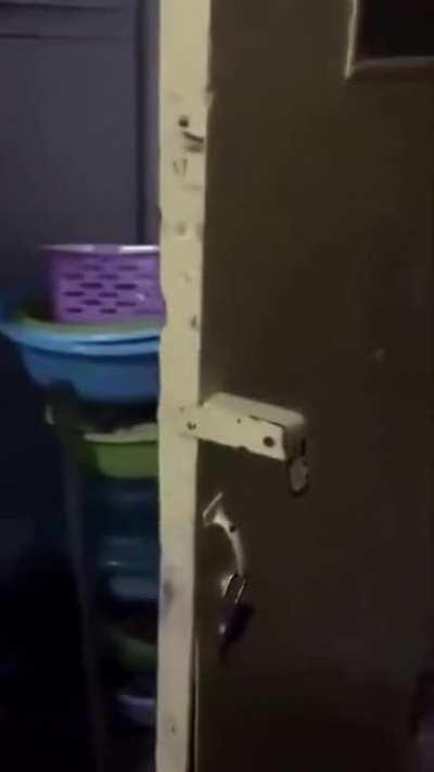 This door laughing