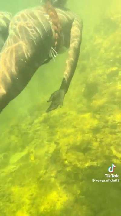 Moving like that underwater??ðð