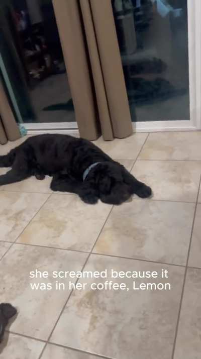 Stimulating Dinner Conversation