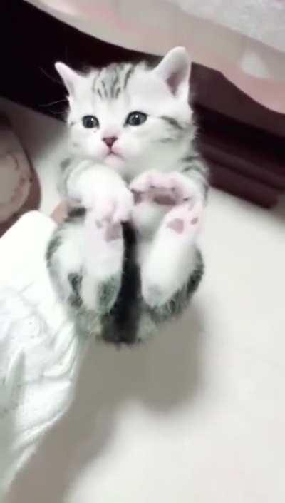 Touch tha toe beans..