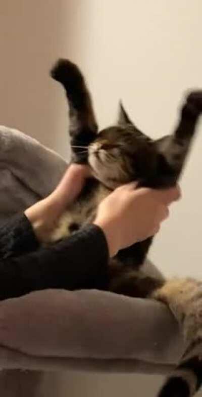 Winston after the turkey hits