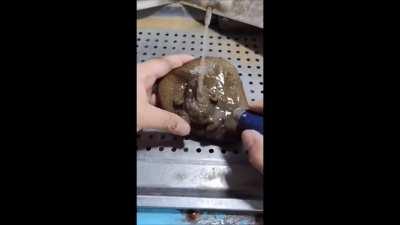 This incredibly detailed rock carving of a toad