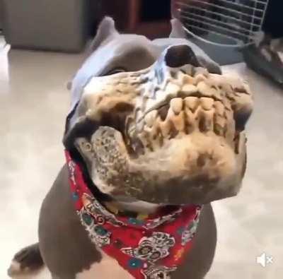 Ready for Halloween 🎃