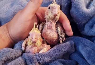 Singing my babies lullabies before they go sleeps. 😴🎶💤💕